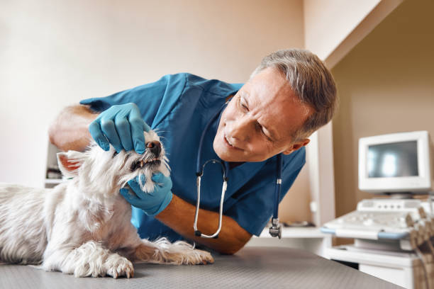 Best Walk-In Emergency Dentist in Lakewood, NY